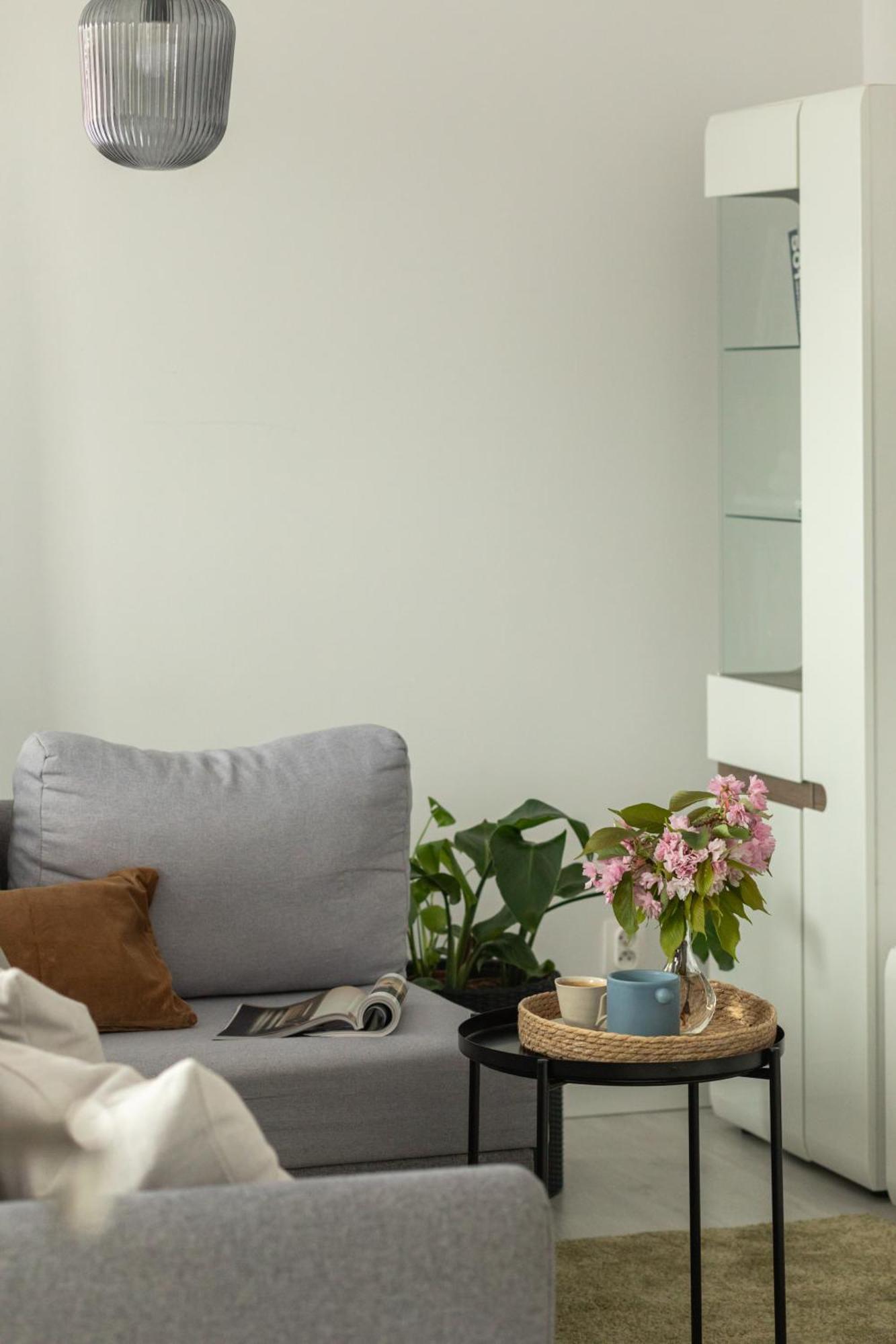 Ts Hello City Apartment Szczecin Buitenkant foto