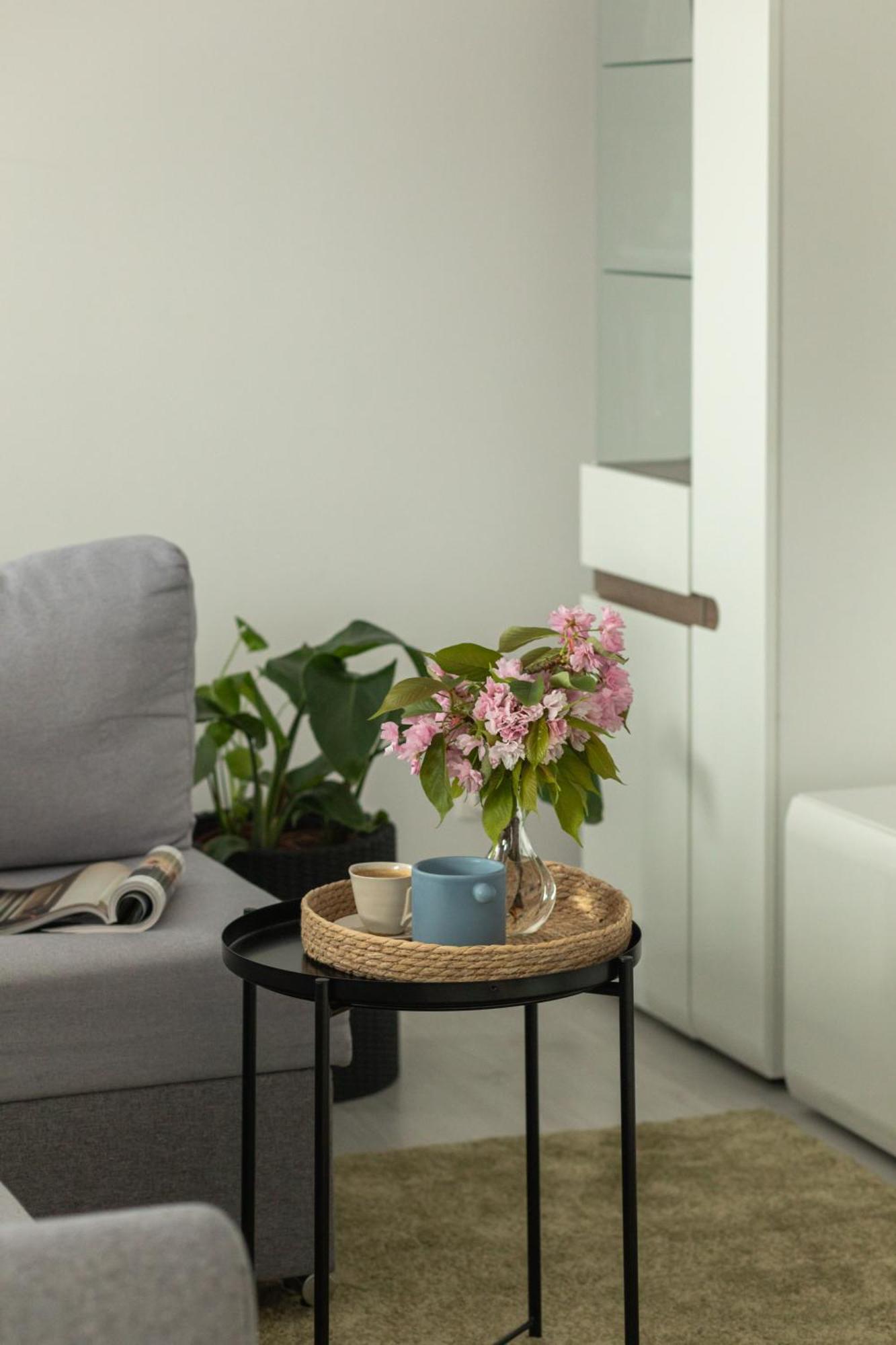 Ts Hello City Apartment Szczecin Buitenkant foto